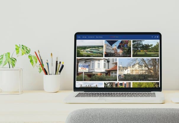 Robert Holmes website example